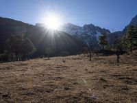 the sun shining over the mountains behind the field and trees in the foreground of the scene