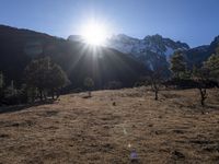 the sun shining over the mountains behind the field and trees in the foreground of the scene