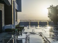 a view of the sun reflecting on the wet ground with trees and buildings in the distance