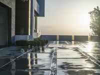 a view of the sun reflecting on the wet ground with trees and buildings in the distance