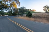 a motorcycle driving on a country road in the daytime sun with trees to the side of it