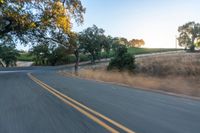 a motorcycle driving on a country road in the daytime sun with trees to the side of it