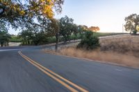 a motorcycle driving on a country road in the daytime sun with trees to the side of it