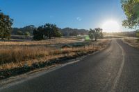 a road and grassy fields under the sun in early afternoon sun light with lens flares brightly on the road