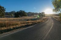 a road and grassy fields under the sun in early afternoon sun light with lens flares brightly on the road