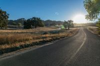 a road and grassy fields under the sun in early afternoon sun light with lens flares brightly on the road