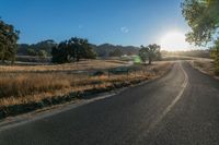 a road and grassy fields under the sun in early afternoon sun light with lens flares brightly on the road