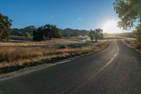 a road and grassy fields under the sun in early afternoon sun light with lens flares brightly on the road