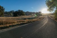 a road and grassy fields under the sun in early afternoon sun light with lens flares brightly on the road