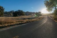 a road and grassy fields under the sun in early afternoon sun light with lens flares brightly on the road