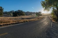 a road and grassy fields under the sun in early afternoon sun light with lens flares brightly on the road