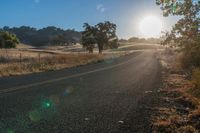 Sunlit Road: A Path Through Grassy Fields