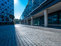 the sun is shining over a modern building near a street with trees and concrete slabs