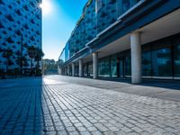 the sun is shining over a modern building near a street with trees and concrete slabs