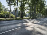 Sunny Berlin, Germany: Lush Forest