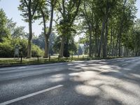 Sunny Berlin, Germany: Lush Forest