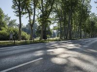 Sunny Berlin, Germany: Lush Forest