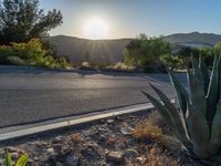 a desert landscape with a sun coming out over the desert and a succulent cactus in front