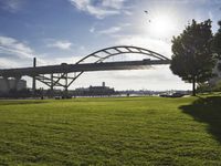 a grassy area with a view of the sun and a bridge over it with cars parked