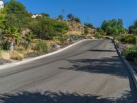 an empty paved road next to some palm trees and plants on hill side area with sky