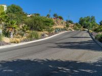 an empty paved road next to some palm trees and plants on hill side area with sky