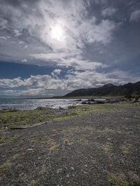 Sunny Coastal Landscape with Ocean View