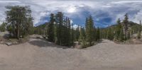 trees and mountains are reflected by a google earth view lens view on the goproad