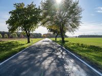 a long country road with several trees and a green field behind it on a sunny fall day