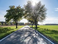 a long country road with several trees and a green field behind it on a sunny fall day