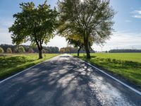 a long country road with several trees and a green field behind it on a sunny fall day