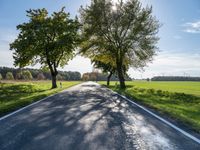 a long country road with several trees and a green field behind it on a sunny fall day