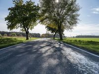 a long country road with several trees and a green field behind it on a sunny fall day