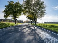 a long country road with several trees and a green field behind it on a sunny fall day