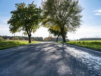 a long country road with several trees and a green field behind it on a sunny fall day