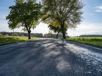 a long country road with several trees and a green field behind it on a sunny fall day