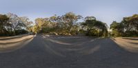 three shots showing different angles of a road with a car, trees and dirt in the background