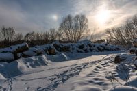 the path has been cleared from snow near some bushes and trees in the background as a sun rises