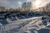 the path has been cleared from snow near some bushes and trees in the background as a sun rises