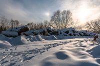 the path has been cleared from snow near some bushes and trees in the background as a sun rises