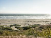 Sunny Day on the Beach of California Coast