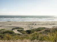 Sunny Day on the Beach of California Coast