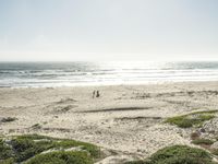 A Sunny Day at the Beach: Contrails and Clear Skies