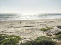 A Sunny Day at the Beach: Contrails and Clear Skies