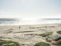 A Sunny Day at the Beach: Contrails and Clear Skies