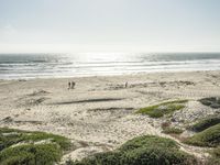 A Sunny Day at the Beach: Contrails and Clear Skies