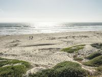 A Sunny Day at the Beach: Contrails and Clear Skies