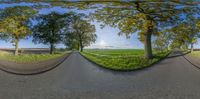 a road goes into the middle of a wide angle mirror with a view of green grass and trees