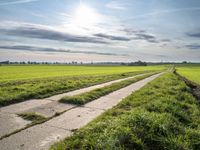 an empty road that is near the grass fields with the sun shining over the field