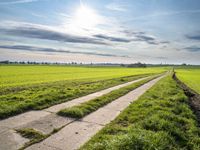 an empty road that is near the grass fields with the sun shining over the field