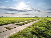 an empty road that is near the grass fields with the sun shining over the field